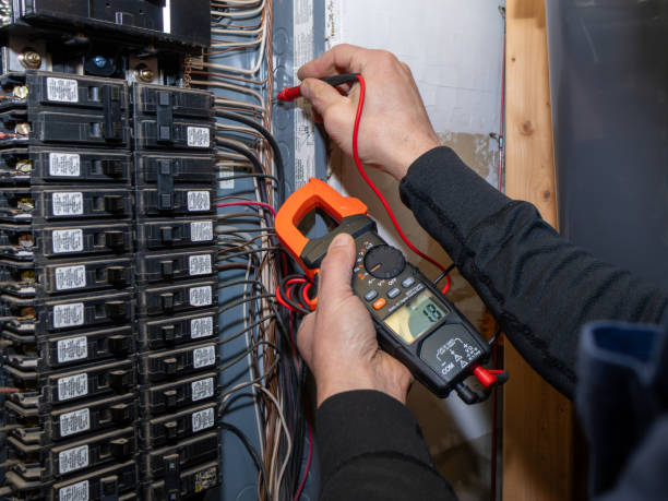 Best Electrical Wiring Services  in Indian River, MI
